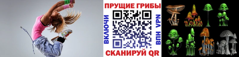 Псилоцибиновые грибы мицелий  Удомля 